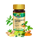 Zandu Pollution Shield Tablets - safuroncart
